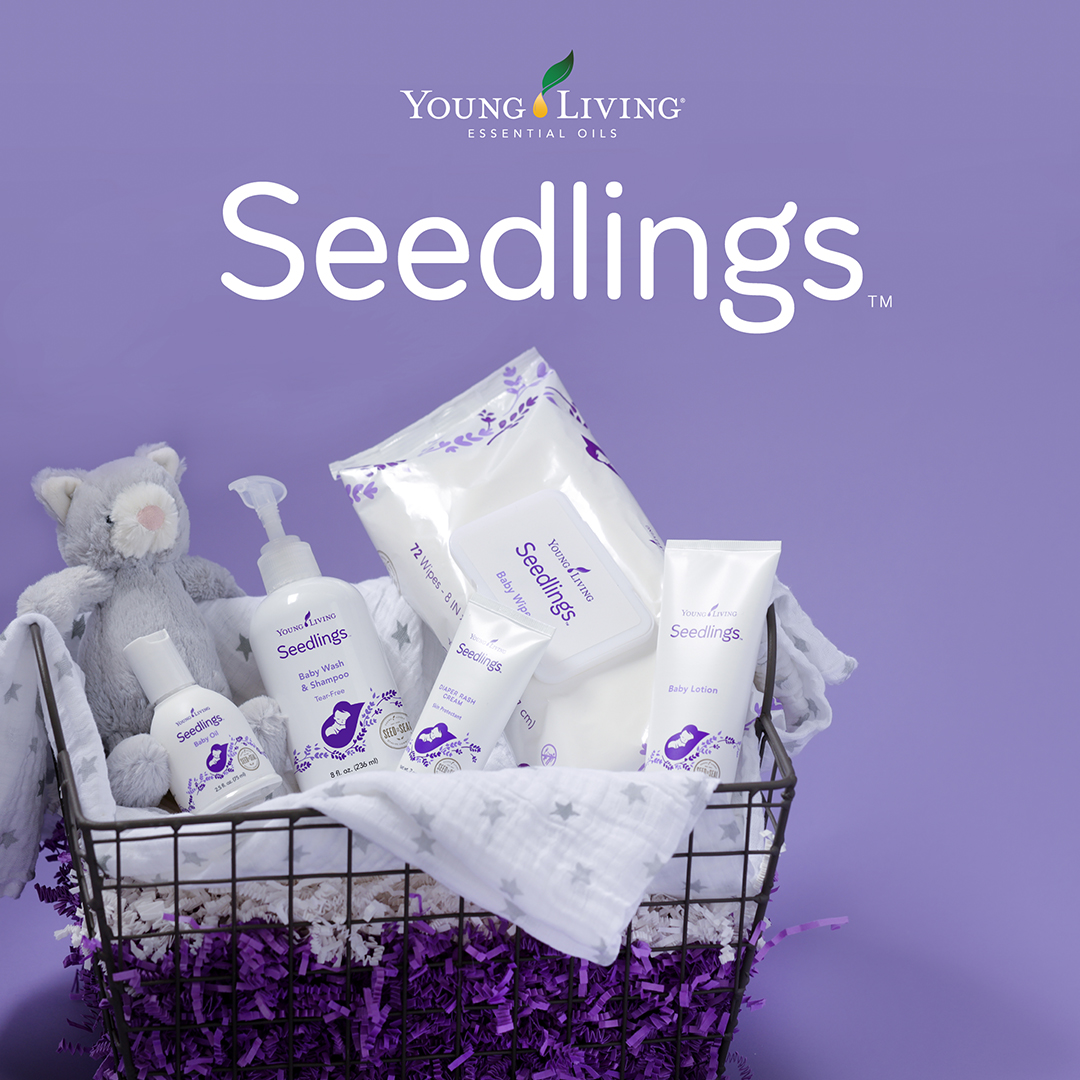 Seedlings系列